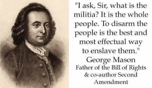 I ask, sir, what is the militia? It is the whole people except for a few public officials.